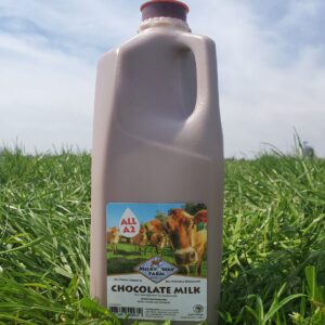 Milky Way Chocolate 1/2 Gallon